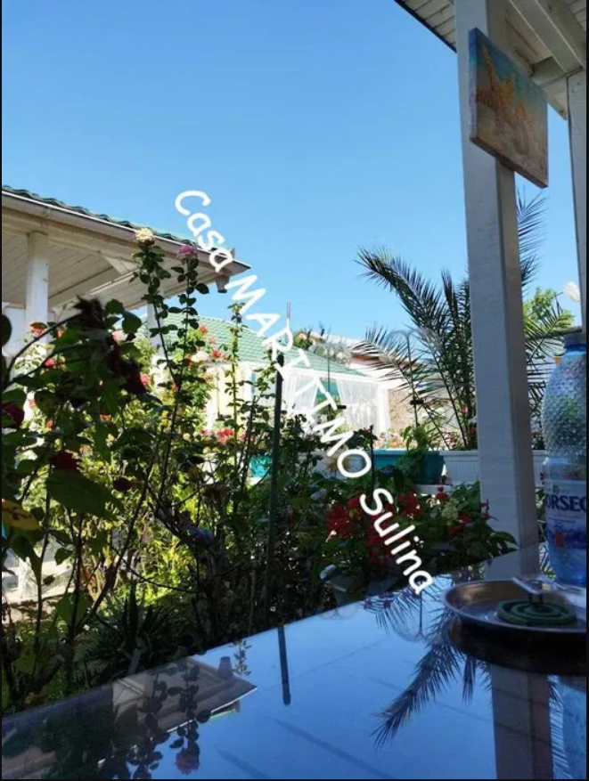 profile-icon